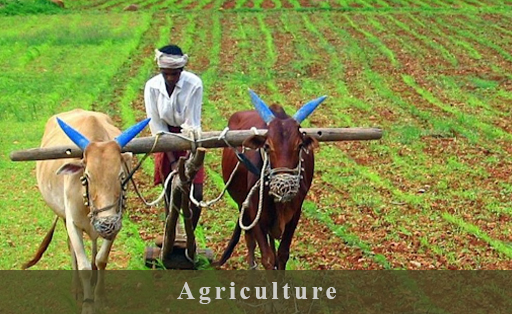 Agriculture-2